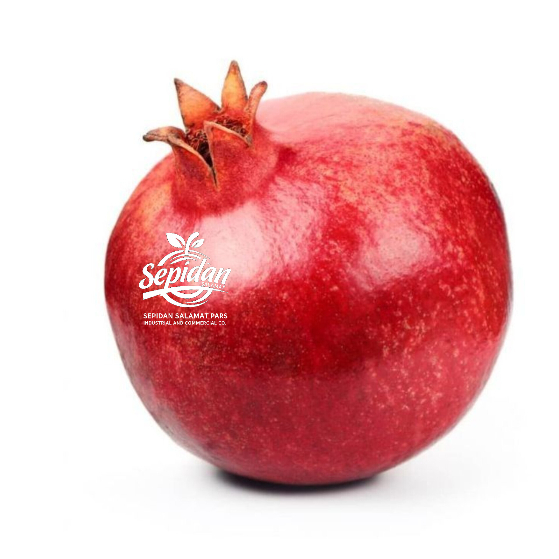 رمان