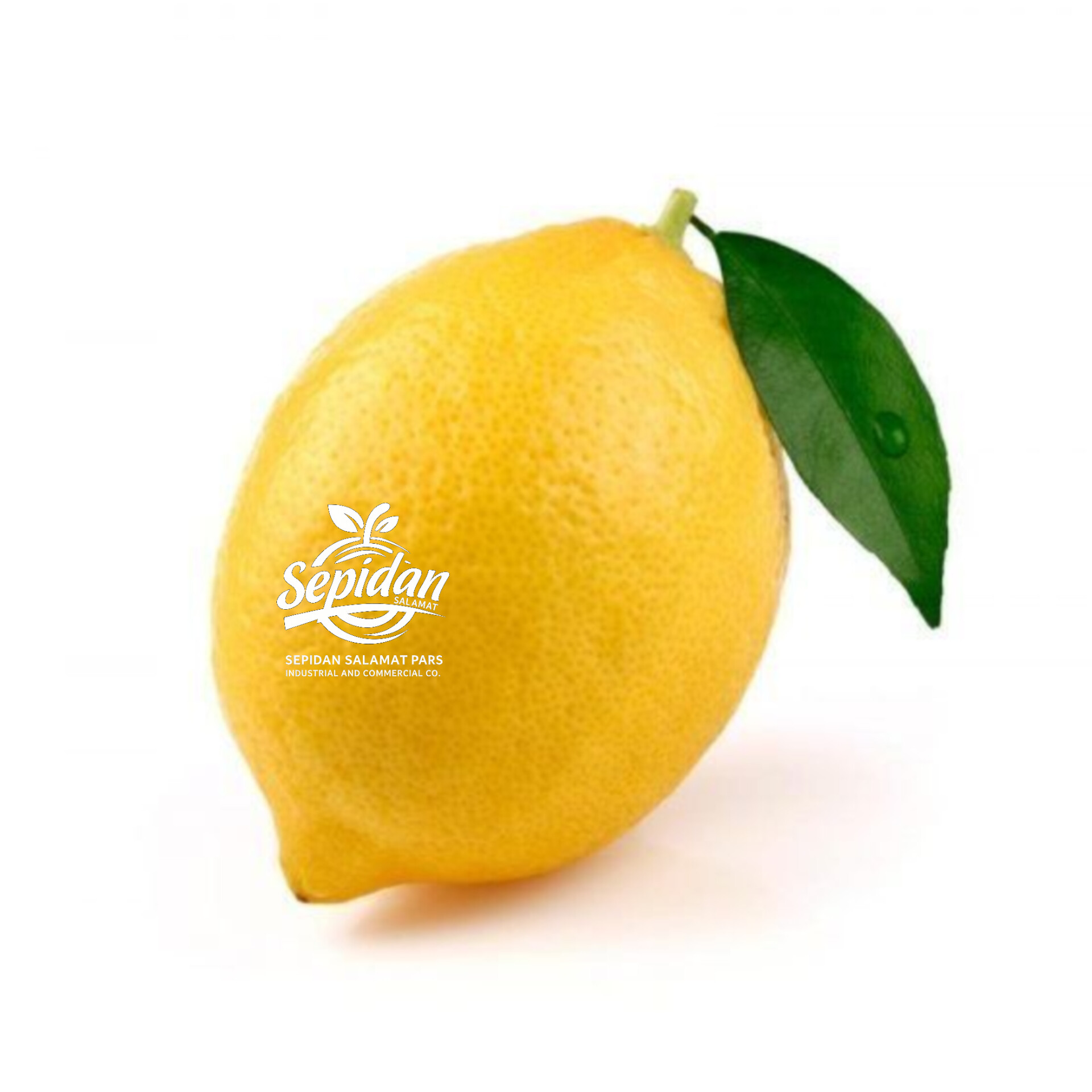 ليمون