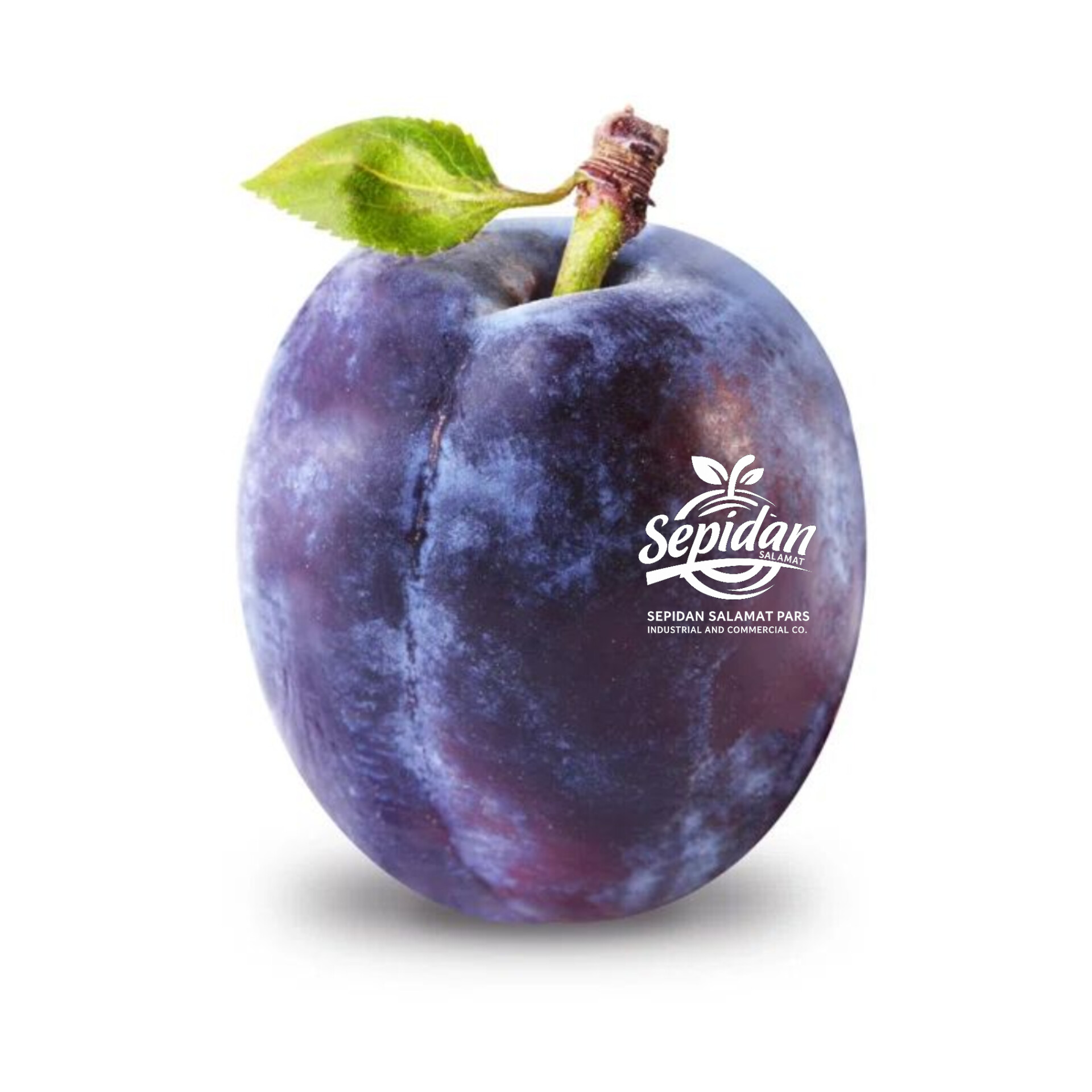 برقوق أسود