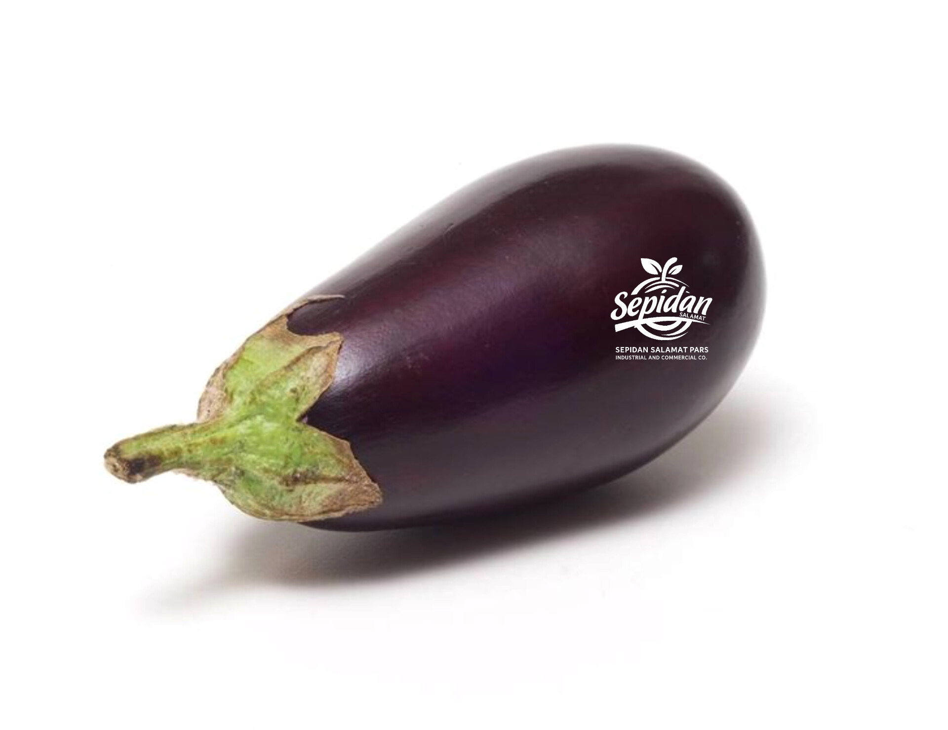 باذنجان