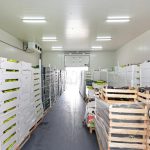 produce-storage-unit-fresh-food-boxes-pallets-cold-163826340
