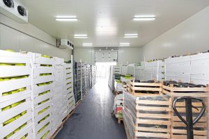 produce-storage-unit-fresh-food-boxes-pallets-cold-163826340